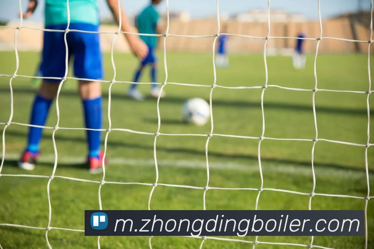 宝威官网平台平台生态图